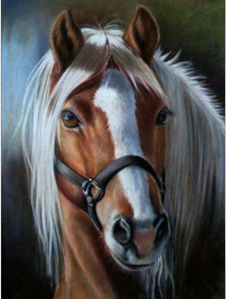 Diamantový obrázek - Portrét koně 30x40 cm