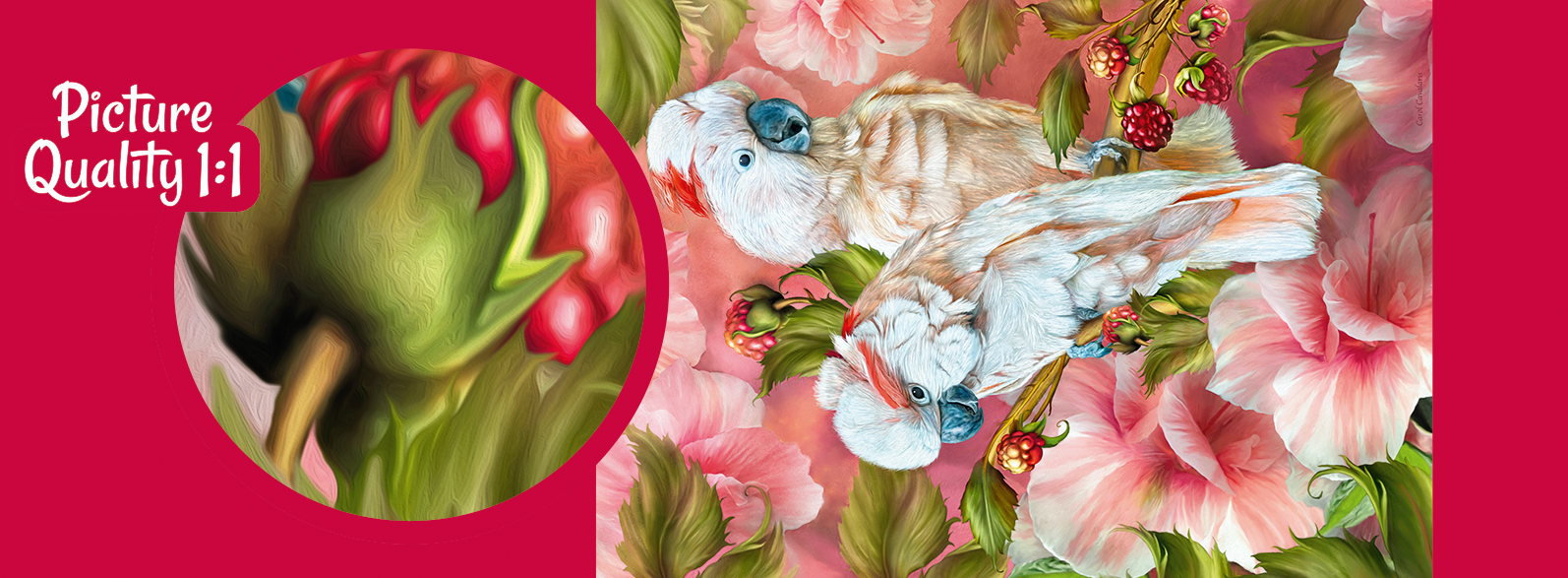 Puzzle Cherry Pazzi 1000d. Papoušci