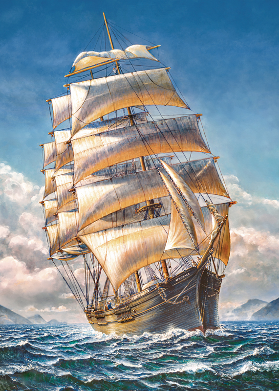 Puzzle 1000d. Cherry Pazzi Plachetnice