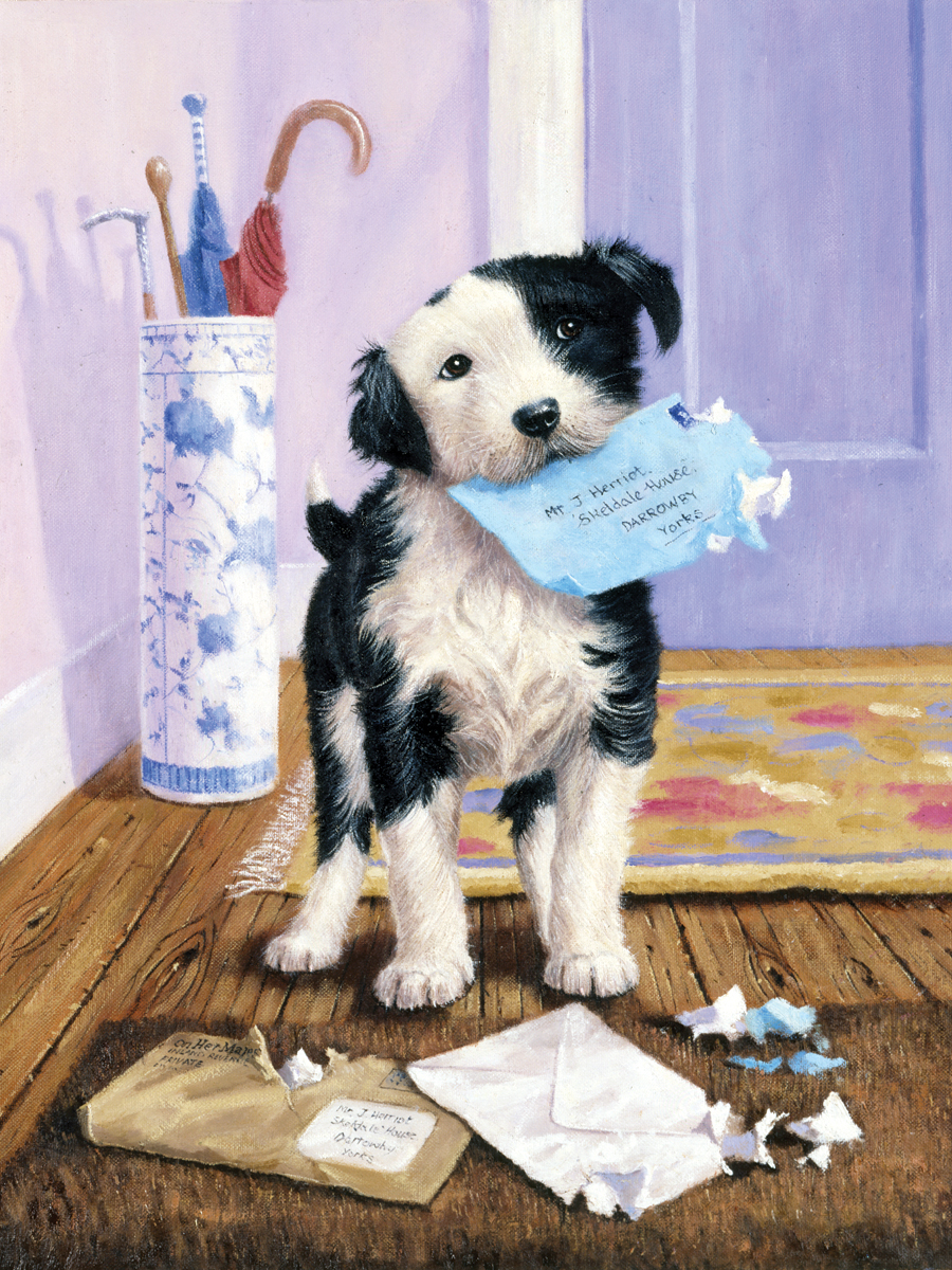 Malování podle čísel 22x30 cm - Pejsek