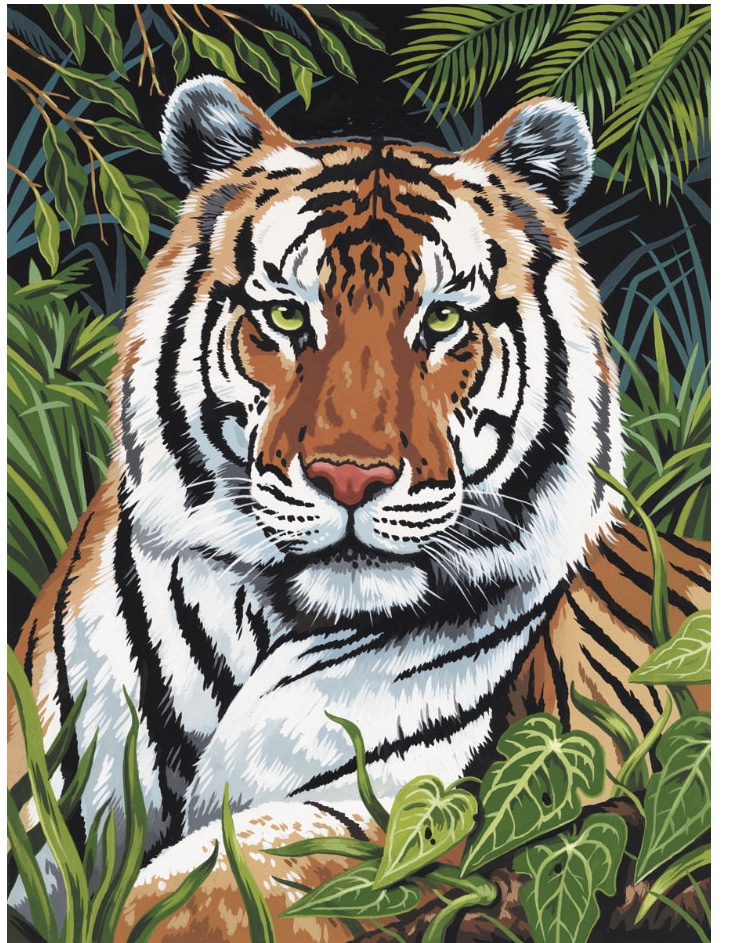 Malování podle čísel 22x30 cm - Tygr v trávě