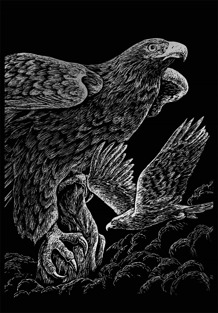 Škrabací obrázky v bloku - 12 ks divoká zvěř