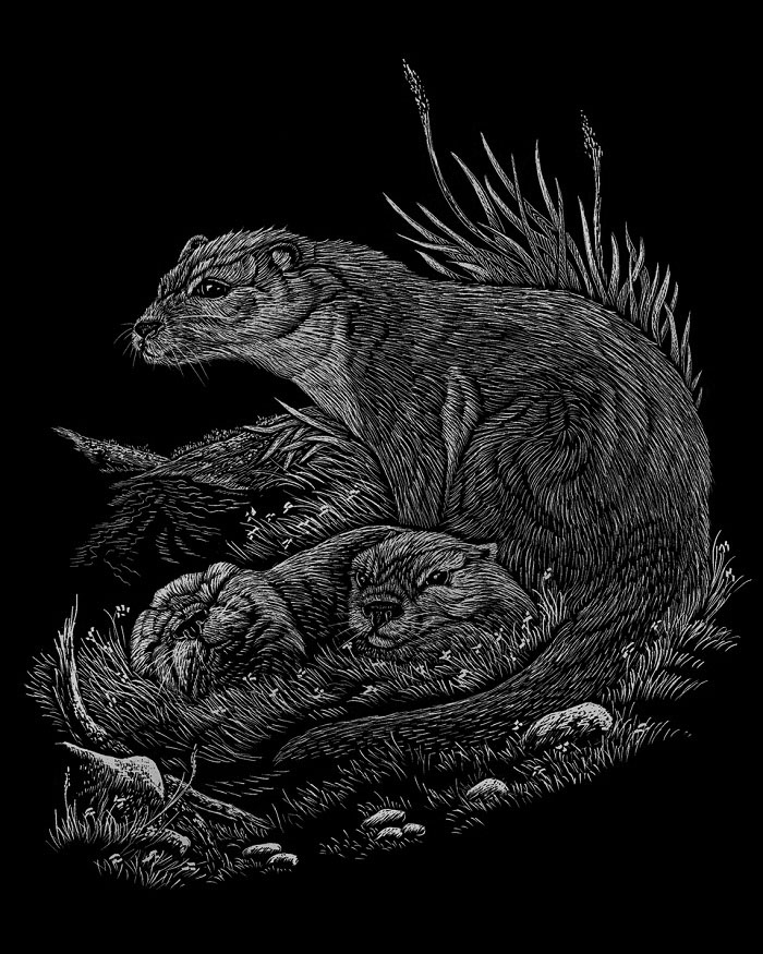 Škrabací obrázky v bloku - 12 ks divoká zvěř