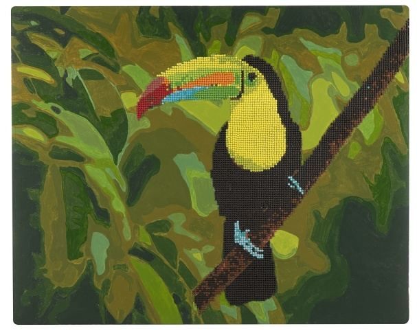 Malování podle čísel+ diamantové malování (40x50cm)- tukan