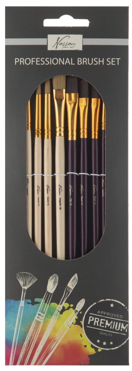 Profesionální malířské štětce, 10 ks