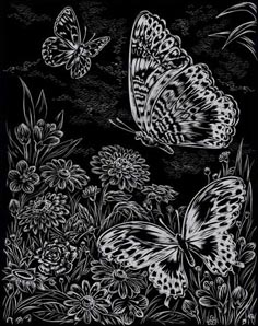 Vyškrabovací obrázek - duhový - Motýli