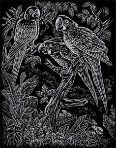 Škrabací obrázek - duhový - Papoušci