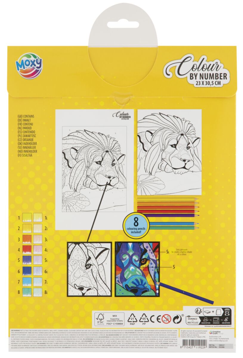 Kreslení podle čísel A4, 8 pastelek - lev