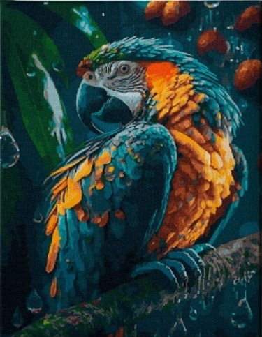 Diamantový obrázek Papoušek v dešti 30 x 40 cm