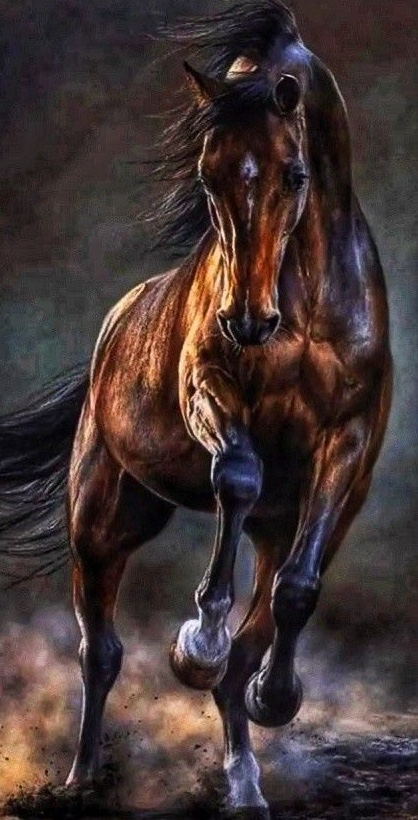 Diamantové malování Kůň v bouři 30 x 40 cm