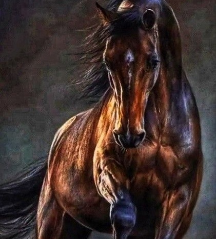 Diamantové malování Kůň v bouři 30 x 40 cm