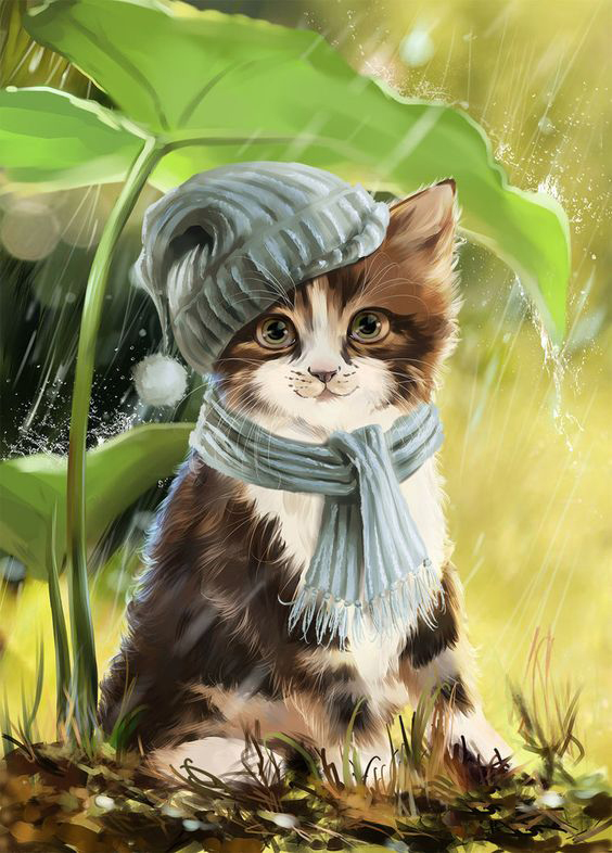 Diamantový obrázek - kotě v dešti 30 x 40 cm