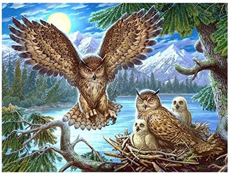 Diamantový obrázek Soví hnízdo 30x40cm