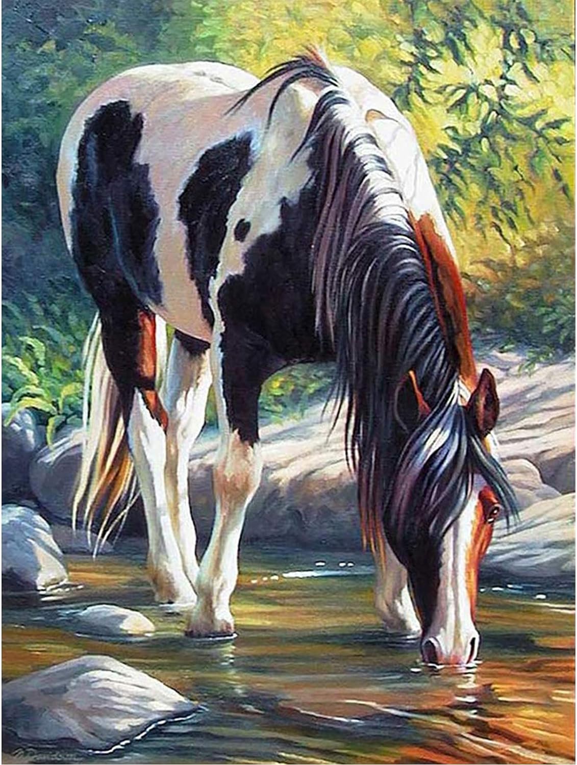 Diamantové malování 30x40cm strakáč u vody