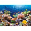Puzzle Castorland 1000 dílků - Podmořský svět