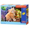 Puzzle Castorland 180 dílků - Zrzavé kotě
