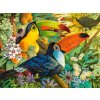 Puzzle Castorland 3000 dílků - Tukani