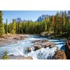 Puzzle Castorland 1500 dílků - Athabasca River, Jasper National Park, Canada