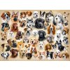 Puzzle Castorland 200 dílků premium - Koláž se psy