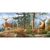 Puzzle Castorland 4000 dílků - Jeleni