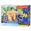 Puzzle Castorland 70 dílků premium - Zrzavá koťata