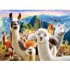 Puzzle Castorland 200 dílků - Lamy