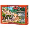 Puzzle Castorland 500 dílků - Schovávaná