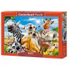 Puzzle Castorland 500 dílků - Africké selfie