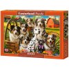 Puzzle Castorland 1000 dílků - Happy dogs in the countryside