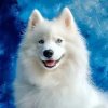 pol pl Diamentowa Mozaika Pies Samoyed Na Niebieskim Tle 30x40 Cm Kreatywne 22699 1