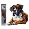 diamantova mozaika boxer 30x40cm