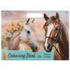 Omalovánky, 25 listů, arch samolepek - koně