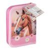 Penál s pastelkami a fixy, kůň