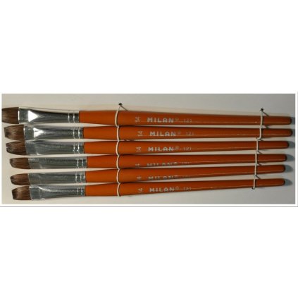 skolni stetec milan 14