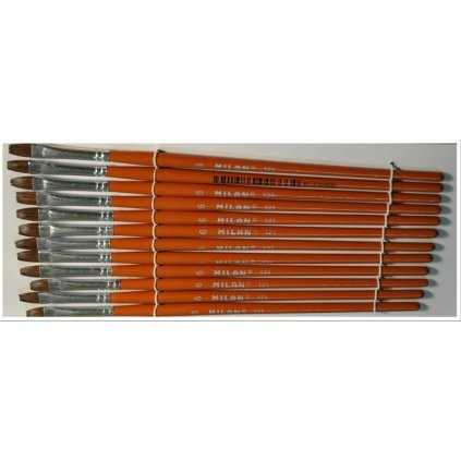 skolni stetec milan 06