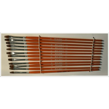 skolni stetec milan 04