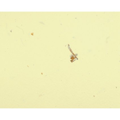 Ruční papír A4 - čajový světlý