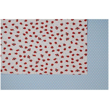 Karton berusky puntiky