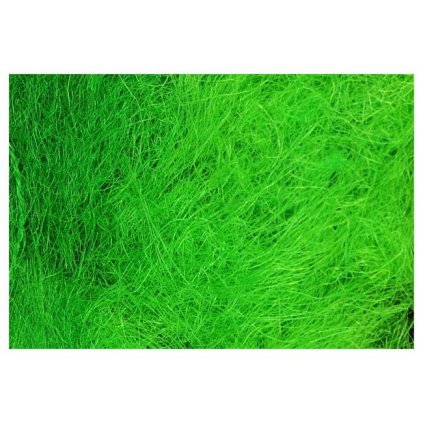 Kokosové vlákno 25g - zelené