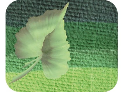 23478 barva na oblicej 6 ml eulenspiegel split cake green