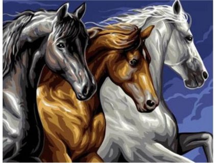 Diamantové malování 30x40 cm - Tři koně