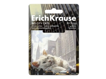 Samolepící bloček 76 x 76 mm 50 lístků, Big City Cats