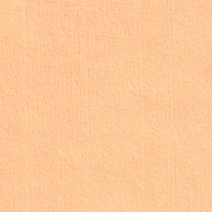 Levně Knorr Prandell Filc 1 mm 20x30 cm - tělový