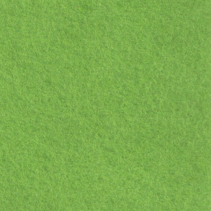 Levně Knorr Prandell Filc 1 mm 20x30 cm - zelený středně