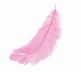 Levně No name Peříčka 6 - 10 cm, 10 g růžová neon
