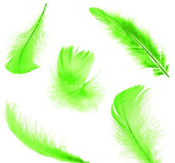 Levně Peříčka 6 - 10 cm 10 g zelená