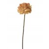Látková chryzantéma podzimní okrová /J