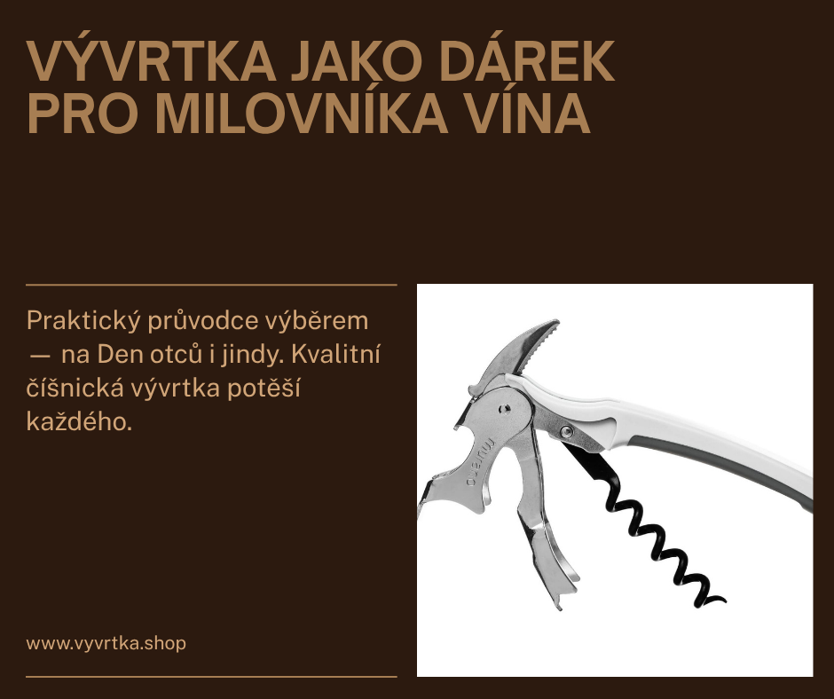 Vývrtka jako dárek: Průvodce, který vám ušetří čas i přemýšlení