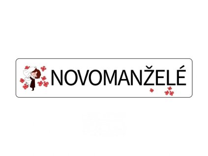 8269 1 svatebni cedulka spz novomanzele s cervenymi kvitky spz na svatebni auto