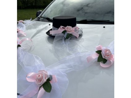 F2E4F8B7 9F4A 4848 A709 A1B1F1BFA9E5